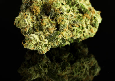 grapealien